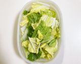 【離乳食初期】レンジで白菜ペースト作り方1写真