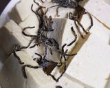 【時短で超簡単】豆苗のせ豆腐サラダ作り方3写真