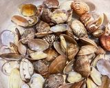 あさりの味噌汁 ガッテン流作り方3写真