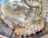生蛸から作るたこ飯作り方1写真