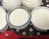 水切りヨーグルトで絶品レアチーズ風作り方19写真