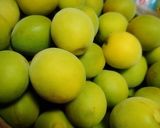 梅酒の作り方（かんたん）作り方3写真
