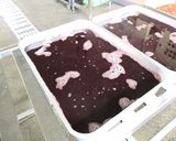 簡単給食 あじさいゼリー作り方1写真