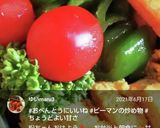 お弁当に♪ピーマンの炒め物♡作り方20写真