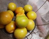 特産べに梅で梅干し 2021作り方5写真