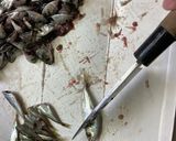小アジ（マメアジ）の甘露煮作り方1写真