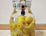 泡盛で自家製梅酒作り方7写真