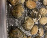 アサリの砂抜き作り方5写真