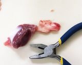 とっても簡単!砂肝の下処理作り方7写真