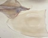 簡単　下処理✨ヤリイカのお刺身作り方10写真
