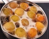 完熟梅で梅のコンポートを超簡単に作り方6写真