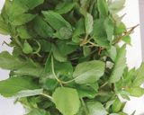 【旬の野菜】うどの葉の佃煮【季節の味】作り方1写真