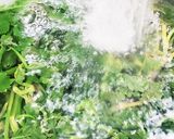 お年寄り絶賛シリーズ☆芹・サーモン和え☆作り方7写真
