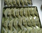 白菜の浅漬け入りギョーザ作り方7写真