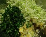 白菜の浅漬け入りギョーザ作り方3写真