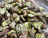 亀の手の塩茹で作り方5写真