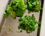 青唐辛子でグリーンカレーペースト作り方3写真