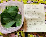丘わかめと豆苗の鰹節和え作り方3写真