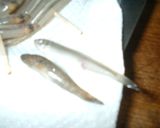 カリッ＆サクッ　ワカサギの唐揚げ☆彡作り方4写真