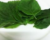 青しそと梅でおつまみ沢庵作り方1写真