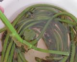 葛の新芽の肉巻き作り方3写真