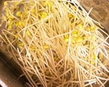 豆もやしのナムル作り方1写真