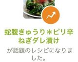 蛇腹きゅうり＊ピリ辛ねぎダレ漬け作り方9写真