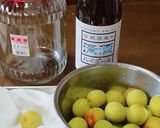 笹祝酒蔵公式！日本酒で作るおいしい梅酒作り方5写真