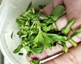 シソとクロサンディップបុកម្អម作り方3写真