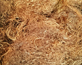 とうもろこしのひげは捨てないで！コーン茶作り方11写真