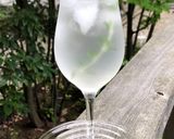 福井梅のはちみつレモン漬け【ＪＡ福井県】作り方10写真
