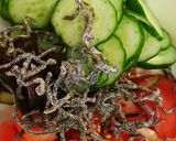夏野菜塩昆布和え作り方1写真
