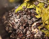 【北海道簡単手づくり臭くない納豆】作り方30写真