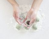 かえるのヨモギまんじゅう作り方7写真