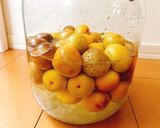 りんご酢で梅シロップ♡ジップロックで簡単作り方10写真