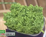 滝川市の雪割りなばなレシピ作り方9写真