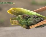 石狩アスパラレシピ③ドレッシング炒め作り方5写真