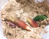 あこ酵母でつくる！発酵ぬか漬け作り方6写真