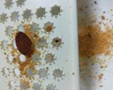 簡単♪抹茶アーモンドクッキー♡作り方1写真