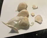 新にんにくご飯〜SNG〜作り方4写真