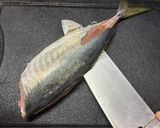 基本のアジの捌き方(三枚おろし)作り方10写真