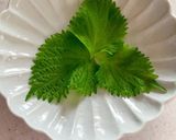 イワシの梅たたき作り方9写真