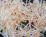 簡単！安い、美味しい！もやし卵ツナ炒め♪作り方2写真