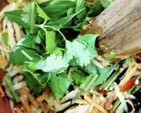 ソムタム①បុកល្ហុងប្រហុក作り方12写真