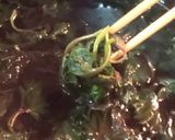 夏にスッキリ！赤紫蘇ジュース！作り方11写真