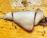 生らっきょう手間なくあっさりすぐ食べたい作り方2写真