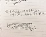 魚(いわしの開き方)作り方3写真