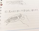 魚(いわしの開き方)作り方4写真
