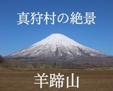 ゆり根王国のゆり根の下ごしらえ【下処理】作り方2写真