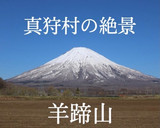 ゆり根王国のゆり根の下ごしらえ【下処理】作り方2写真